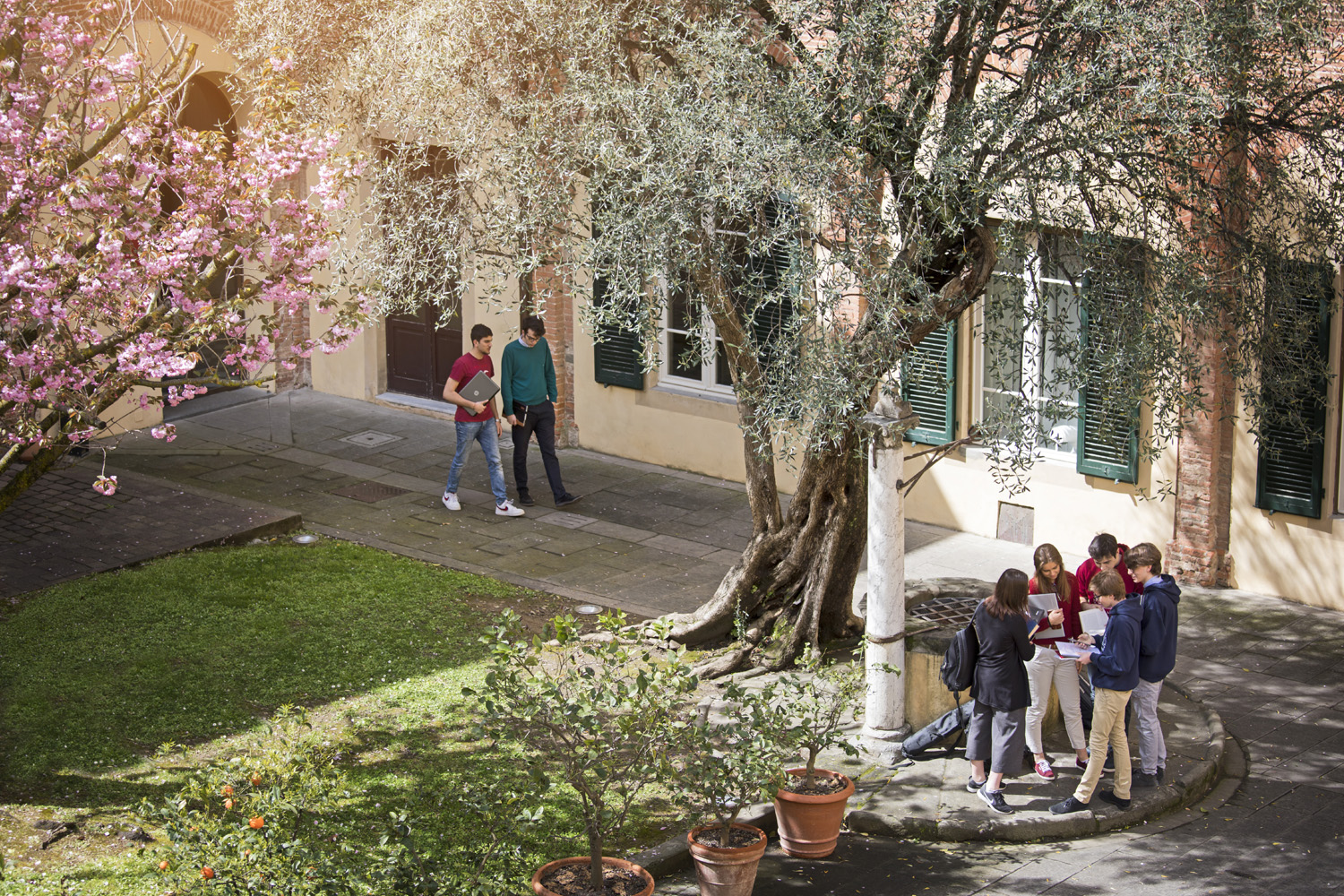 Scuola Superiore Sant Anna EELISA
