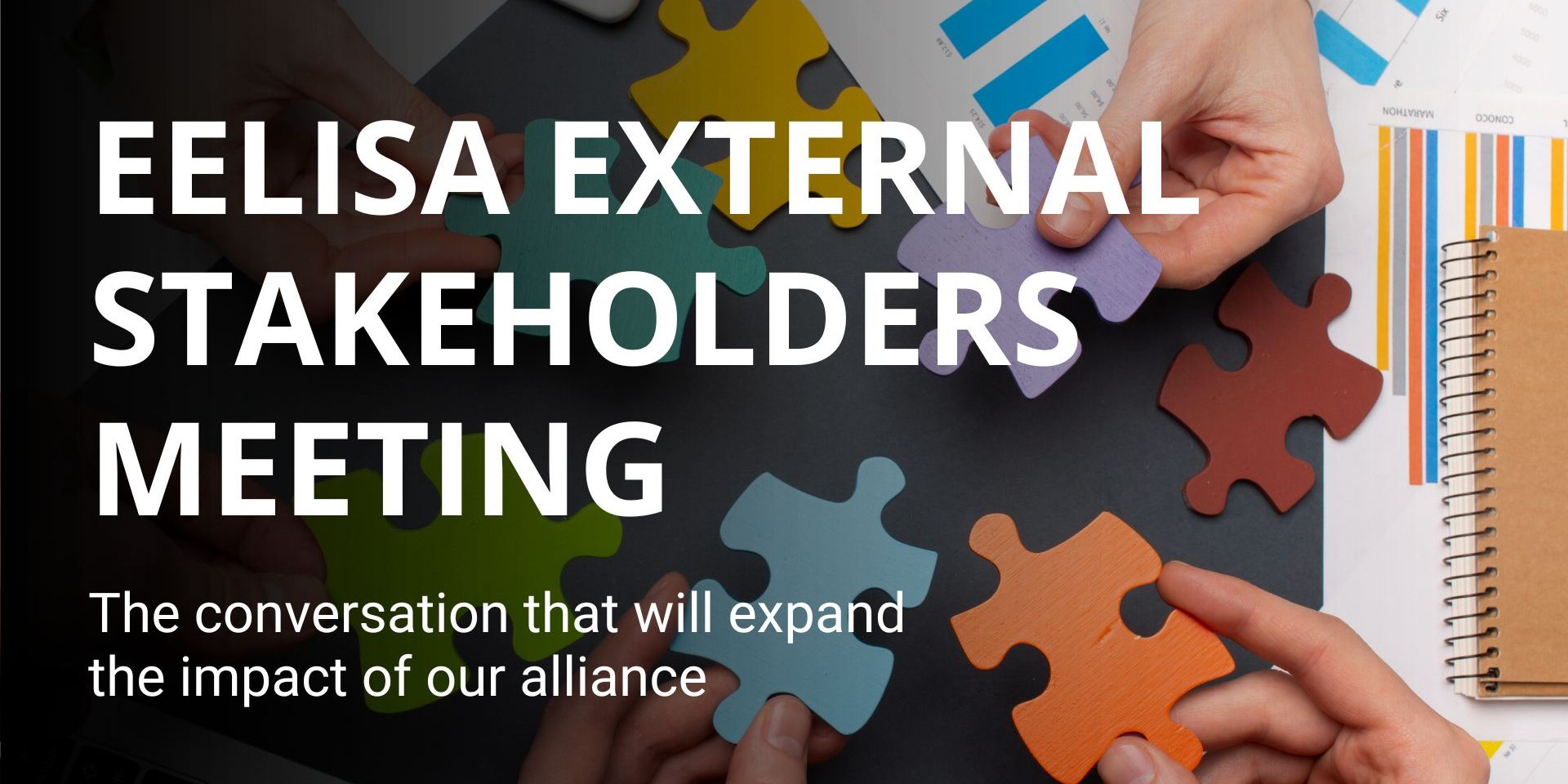 Copia de Banners for the EELISA website