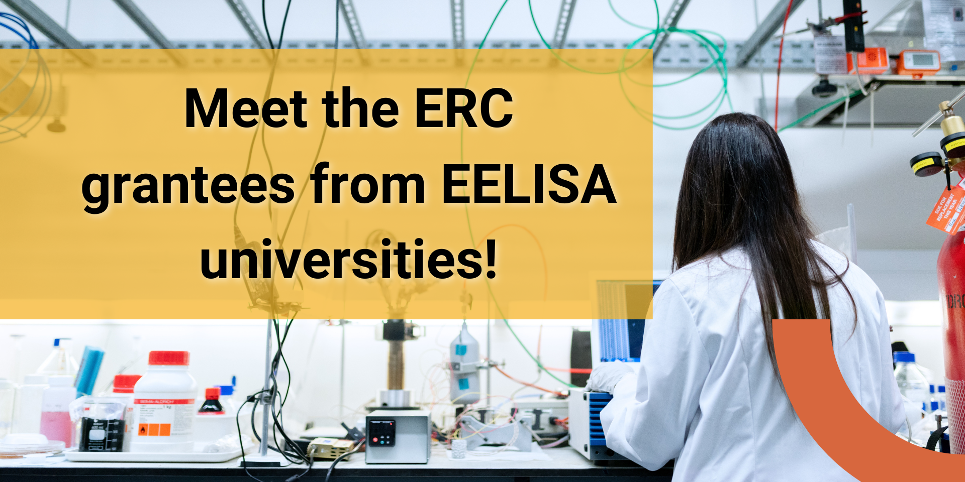 Banners for the EELISA website (19)