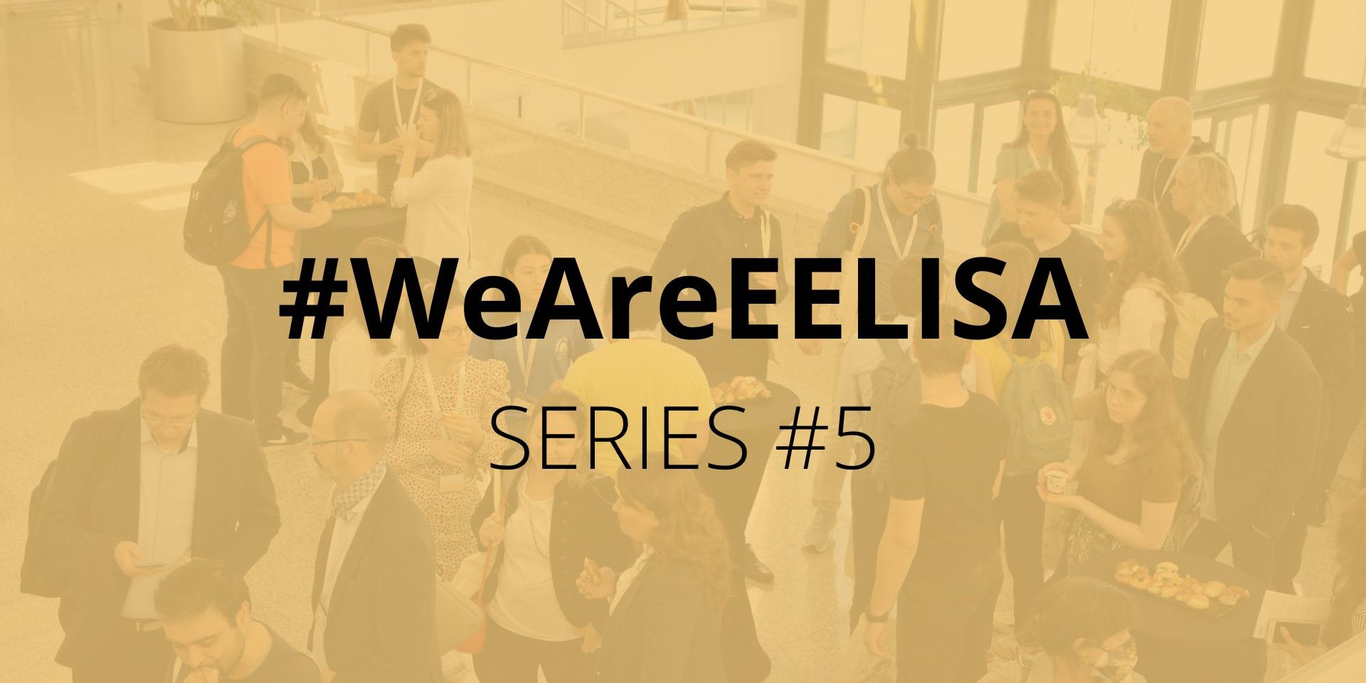 Banners for the EELISA website (14)