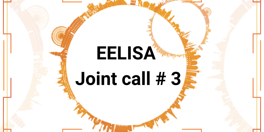 Meet the Winners of the 3rd EELISA Joint Call!