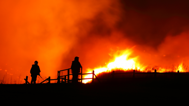 Wildfire being extinguished by firefighters